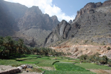 Oman067